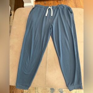Men's Free Fly Large Blue Jogger Pants